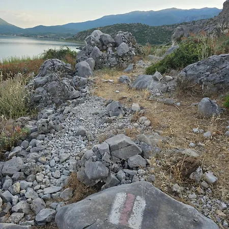 Mitre ゲストハウス