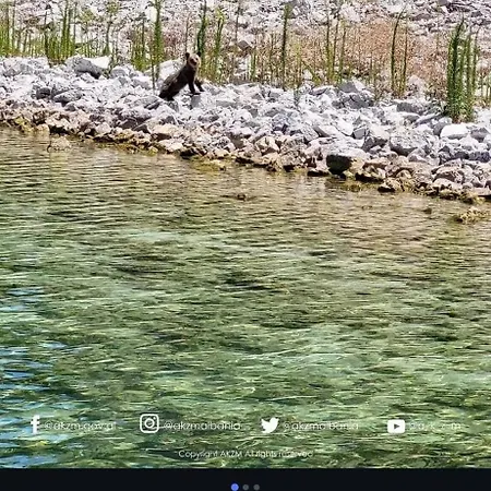 Mitre ゲストハウス Pusteci