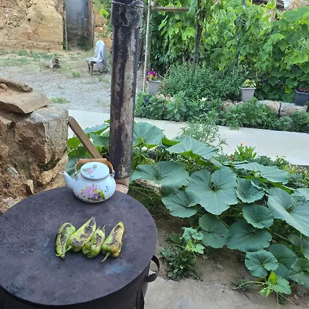 ゲストハウス Mitre Pusteci