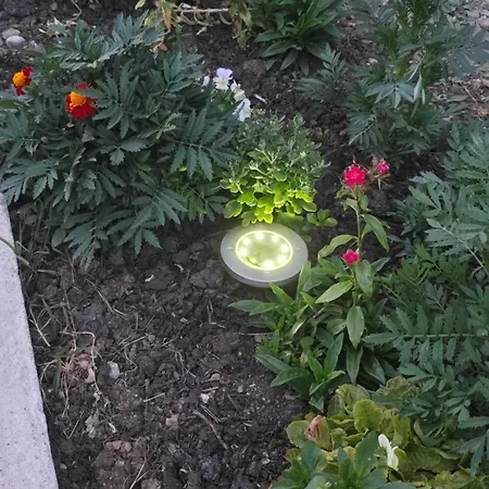 Mitre ゲストハウス Pusteci