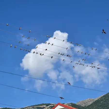 ゲストハウス Mitre Pusteci