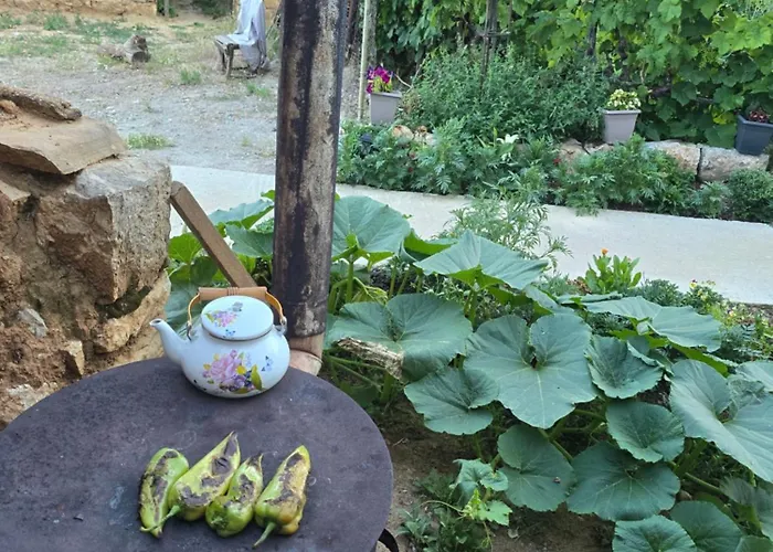 Gasthuis Mitre Pusteci