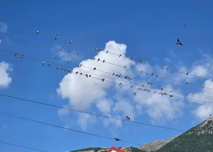 Pensjonat Mitre Pusteci